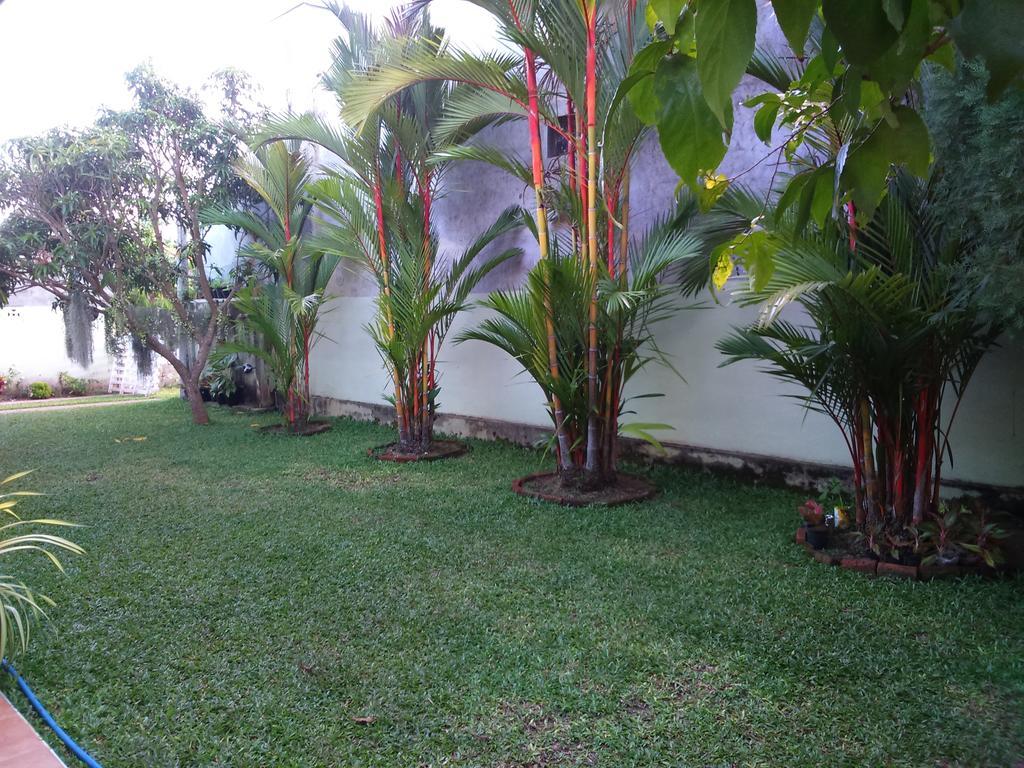 Illumination Stay Negombo Ngoại thất bức ảnh